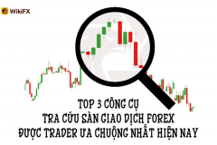 TOP 3 công cụ tra cứu sàn giao dịch Forex được Trader ưa chuộng nhất hiện nay