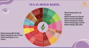 Kham pha Tea Flavour Wheel – Vong Quay Huong Tra – Cam nang thu vi cho nguoi yeu tra 1